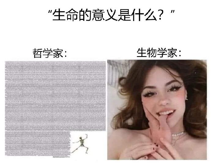 去码头整点薯条