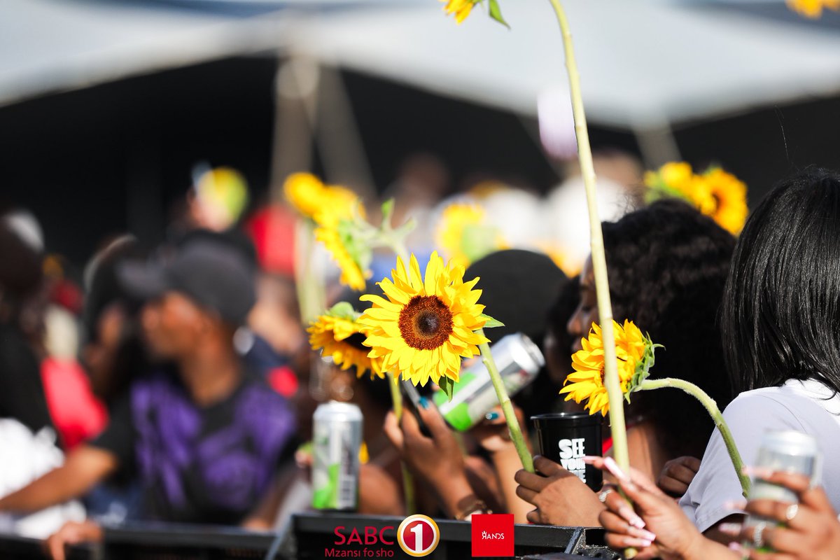 To the artists, the crowd, and the team – YOU made this summer unforgettable.
THANK YOU! #GratitudeVibes #EpicEnergy