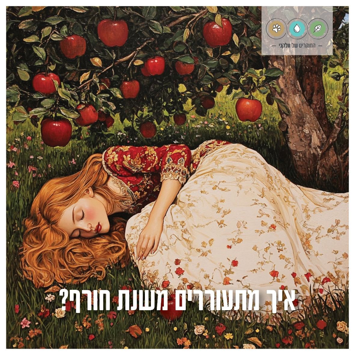 החוקרים של וולקני tweet media