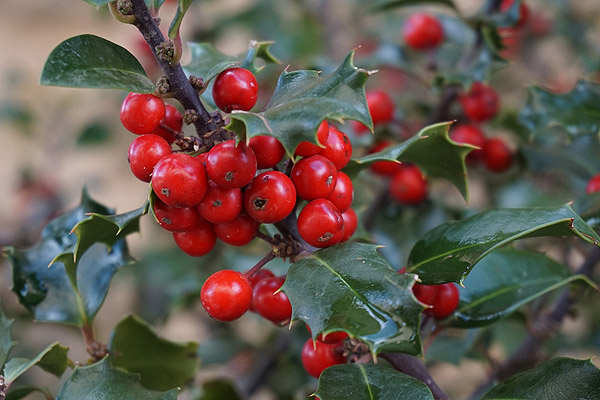 Bon dia!

Encetem la primera setmana de desembre amb la vista posada al cap de setmana llarg.

Tot i això, als #CentresCívicsBCN hi trobareu activitats per donar i per vendre. Apunta totes aquestes propostes meravelloses! 👉 i.mtrbio.com/zfikpotklw