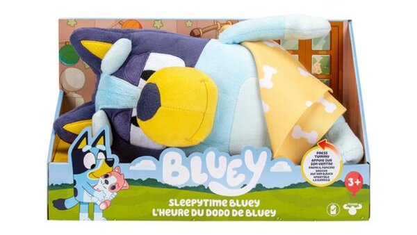 stop the bus (dm29dr.aws) tweet media