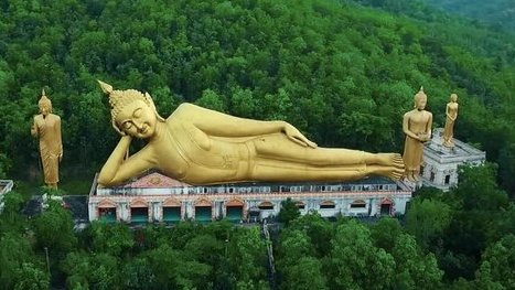 stop the bus (dm29dr.aws) tweet media