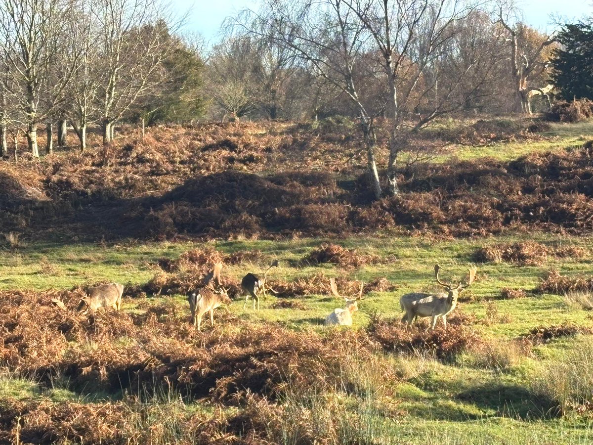 Thackray Williams tweet media