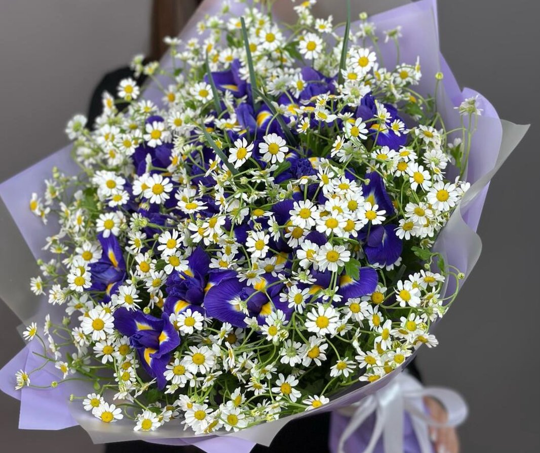 BoomAlexa's tweet photo. I eat daisies and irises 😍 https://t.co/NFTqqLjvJn