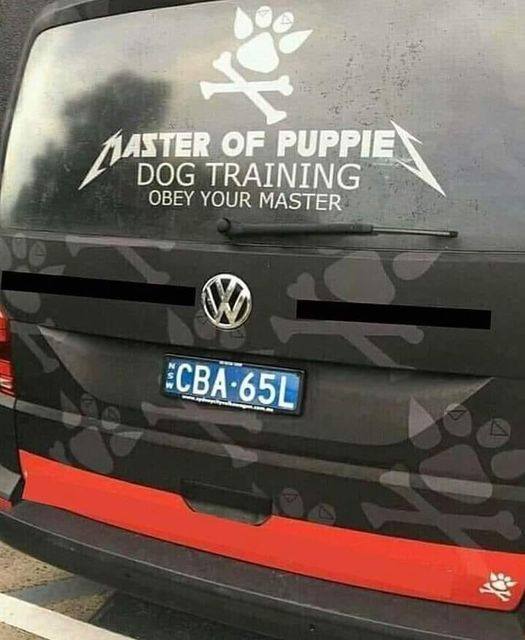 BrunoMacDonald1's tweet image. #NationalMuttsDay #masterofpuppets #MetalMonday