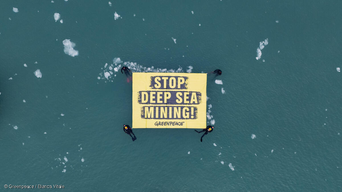‼️Kein Tiefseebergbau in der Arktis
🪼Der Druck von Aktivist:innen, Wissenschaftl:innen und der internationalen Gemeinschaft hat gewirkt! 
🪼Die norwegische Regierung stoppt die Lizenzierungsrunde für den Tiefseebergbau in arktischen Gewässern!

Mehr bit.ly/3ZyaLif