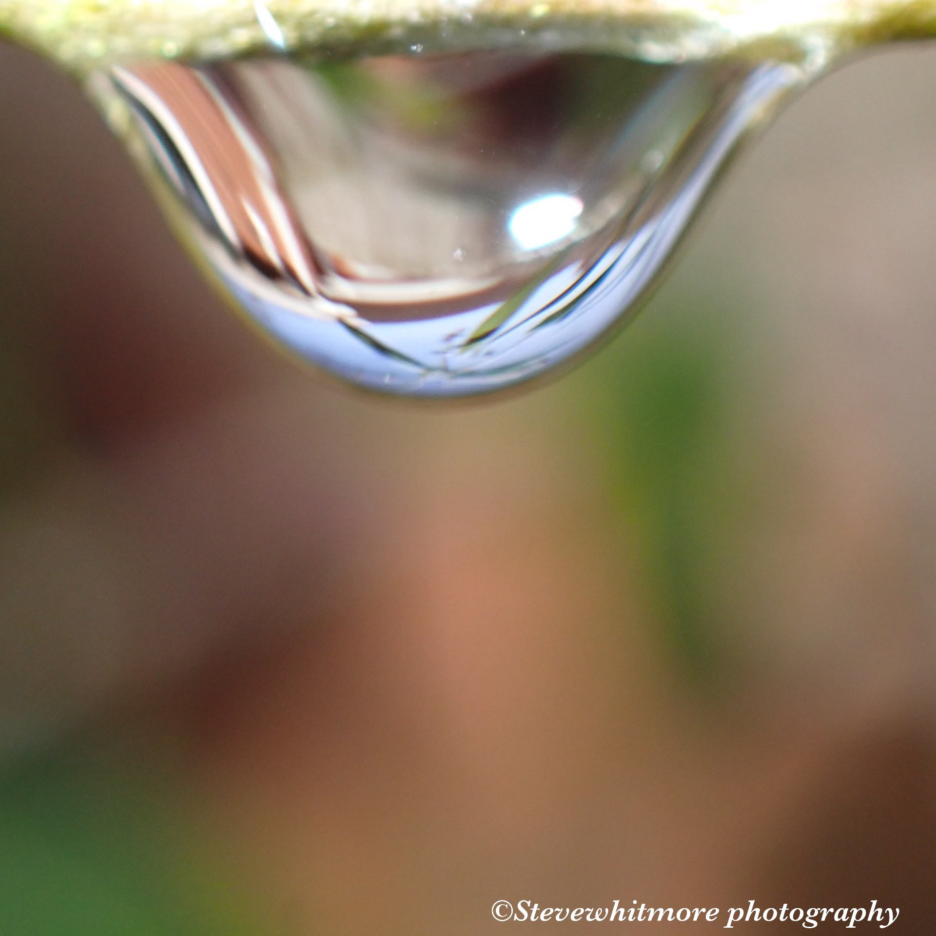 raindrop - Search / X
