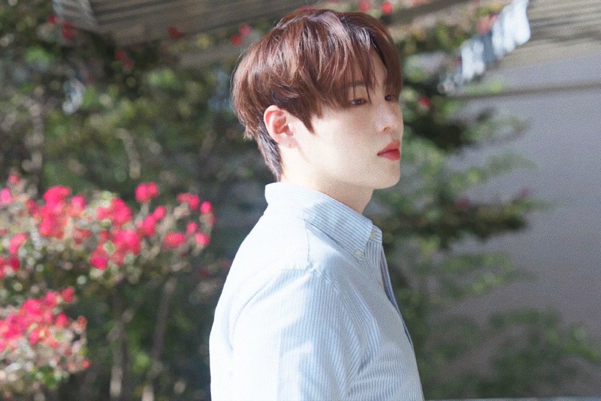 성운에이드 tweet media