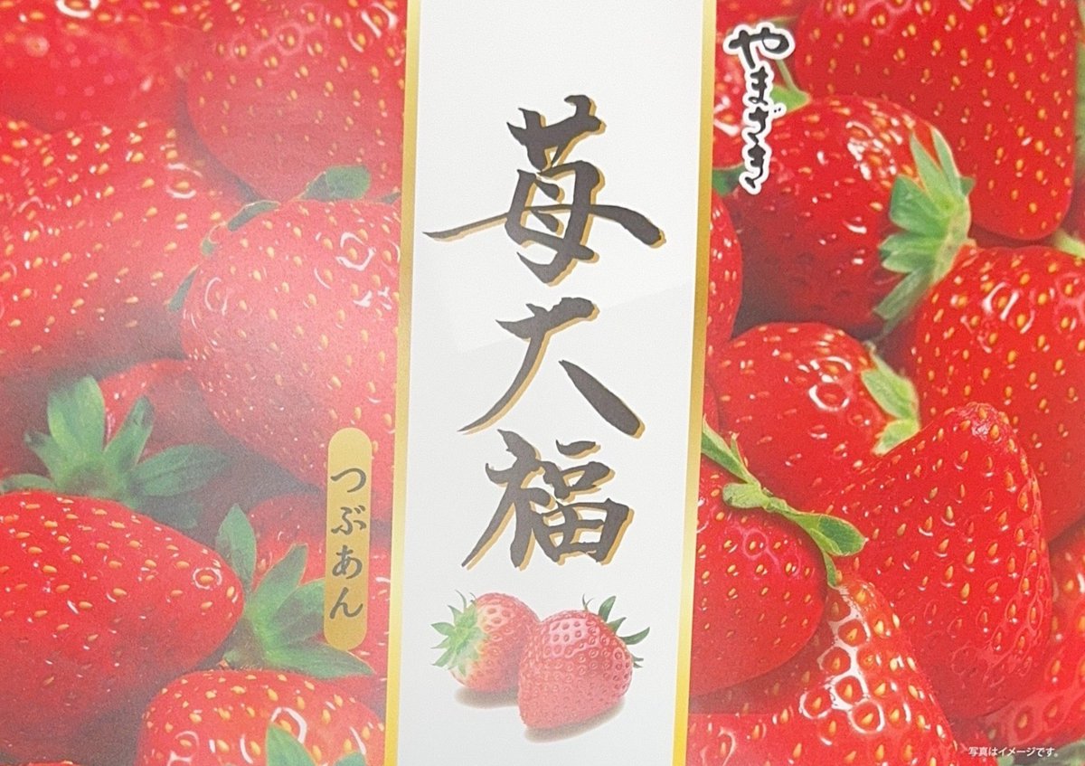 苺だいふく② イチゴ：ジャンボイチゴまんぷく2号（にごう）3.5号ポット の