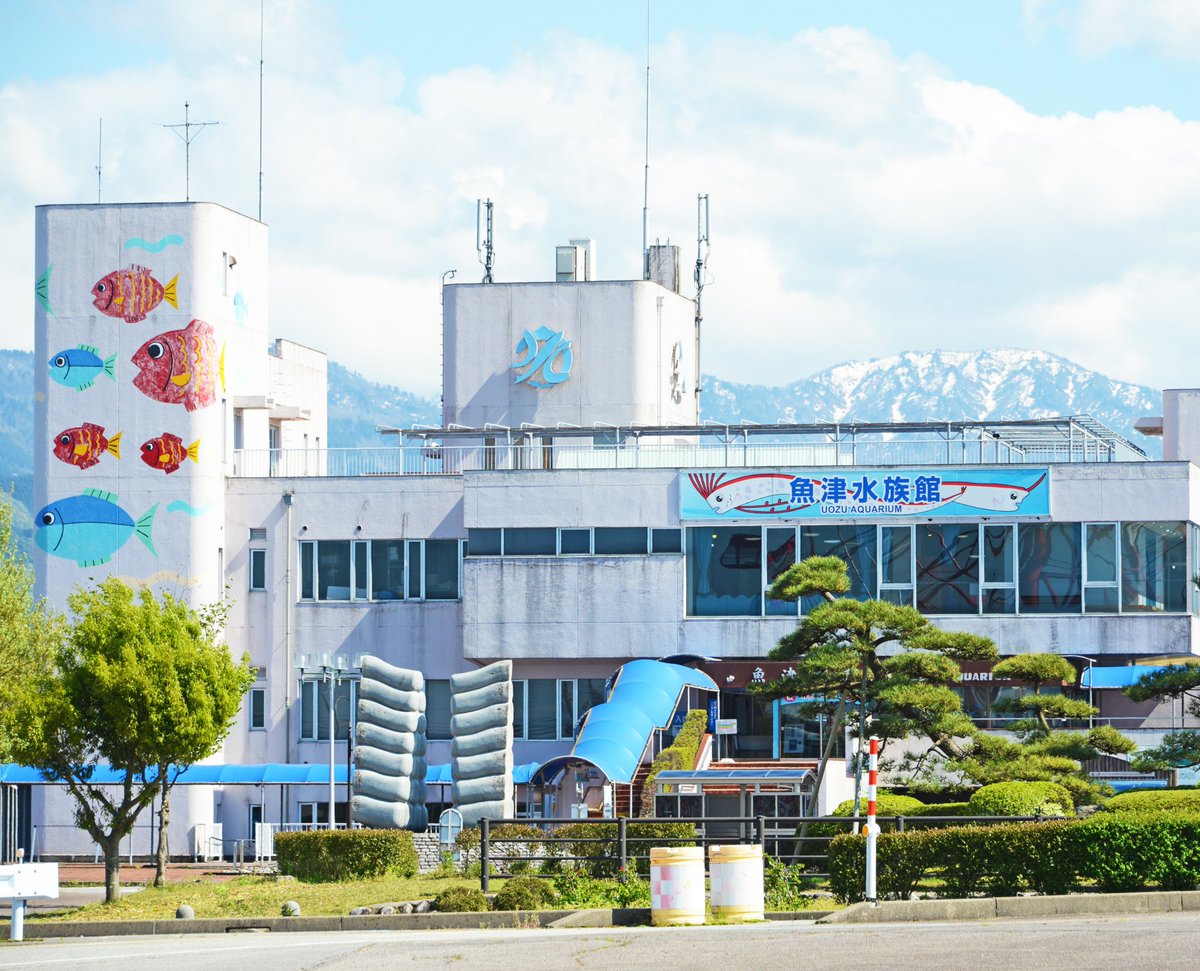 県内】 現存で日本最古「魚津水族館」@uozuaquarium 改修のため