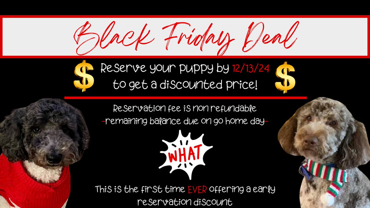 Flairdoodles's tweet photo. 🚨BLACK FRIDAY DISCOUNT🚨 Goldendoodle Puppies Due Dec 21sst. Now thru 12/13 reserve a puppy to take advantage of this never before discount! 💲

For more info 👉🏻 https://t.co/FwnJE8rbTt 

#FlairDoodles #GoldendoodleBreederMcKinney #McKinney #McKinneyTX https://t.co/LmKNkOYtKh