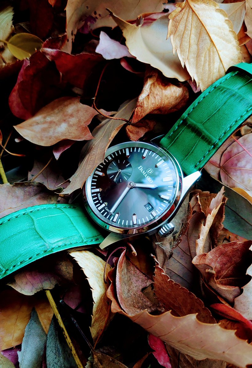 赤目(彷徨う) tweet media