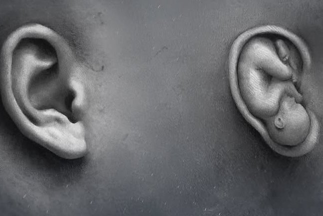 Neyi ve kimi dinlendiğine dikkat et… zira  duyduğun hersey o an önemsemesen bile zamanla şekil alır, büyür ve hayatına doğar…. Bilinçaltına açılan kapıdır kulağın.