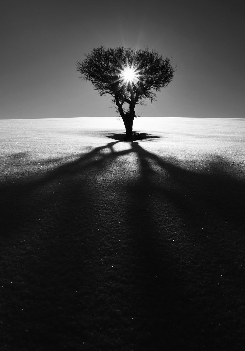 Abbas Rahmani tweet media