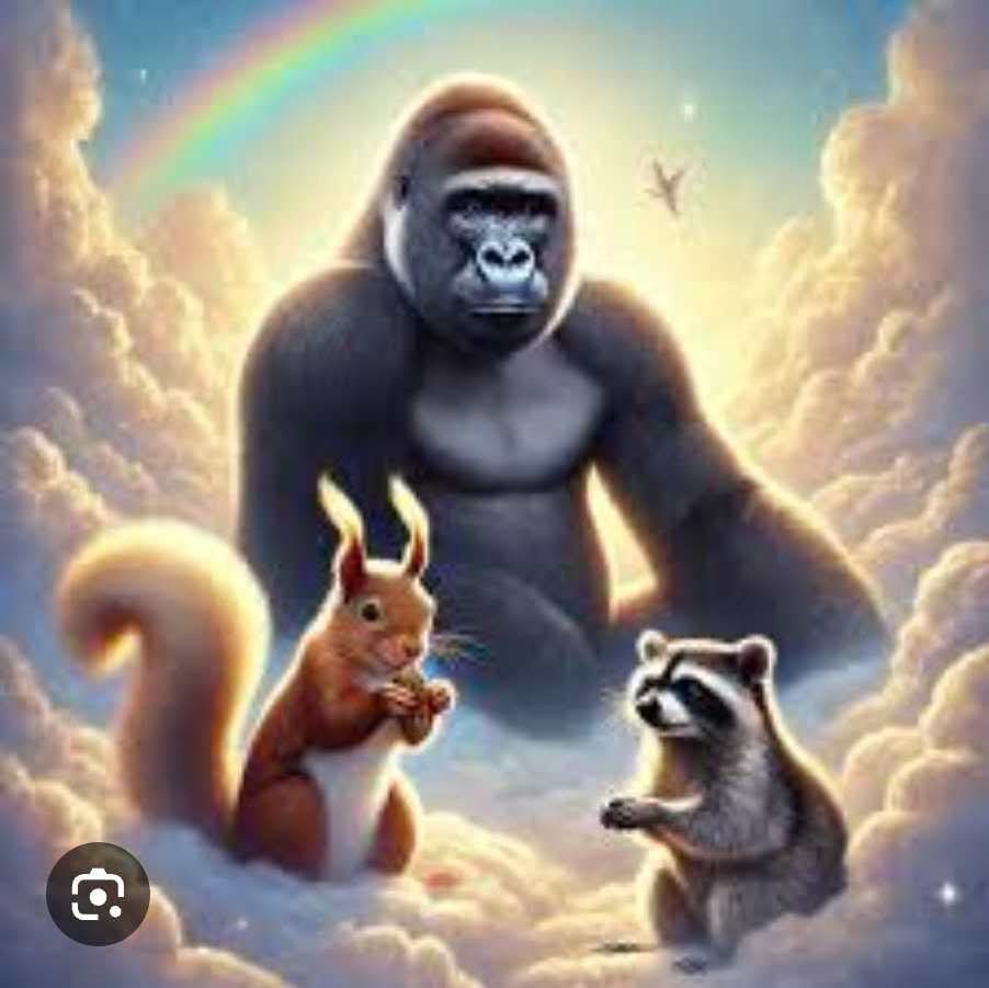 First Harambe and then they took my nigga Fred