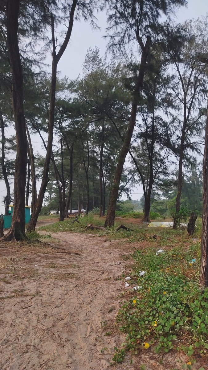 Gomantak_Times's tweet image. These stereotypical and cliché moments are what make you fall in love with Goa for what it is—beach moments being the best of all.

#beach #goabeaches #goatourism #tourism

SEE MORE:
gomantaktimes.com/ampstories/web…