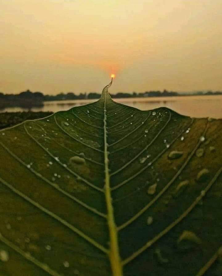 angiechuma's tweet photo. May your purpose lead you to yourself.

Rise with the sun 🌻 https://t.co/iMg1qAZq6T