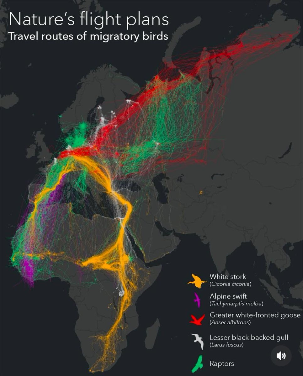Visegrád 24 (@visegrad24) on Twitter photo 