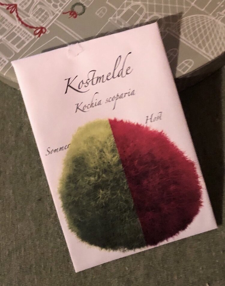 anborox's tweet image. El calendario de adviento de este año: 24 especies de pájaros 🇳🇴 y en su interior, 24 sobres de semillas de plantas #waitingforspring #fetama