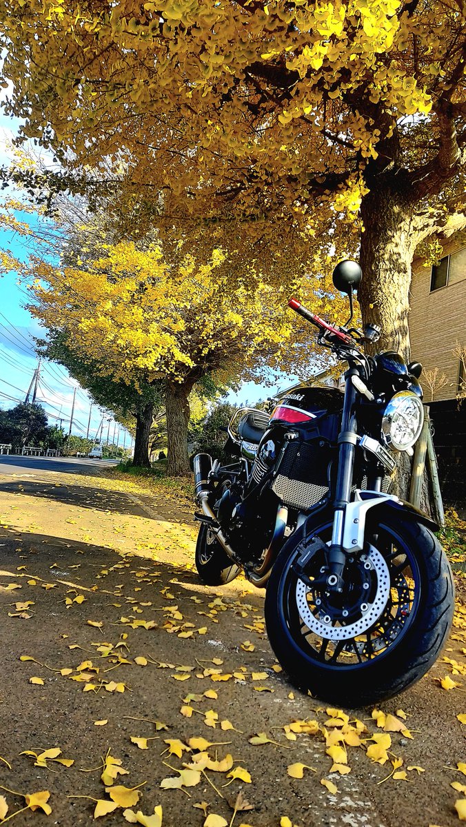 風は少し冷たいけど楽しく走ってきました☺️
#バイク乗りと繋がりたい 
#バイクのある風景 #z900rs
#ツーリング