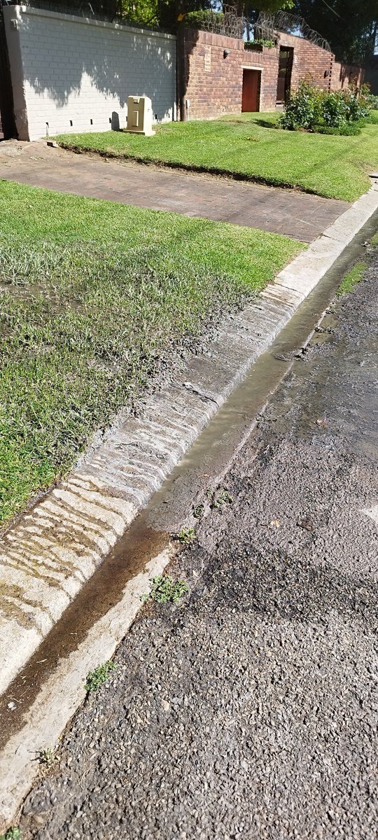 Niki Seberini tweet media