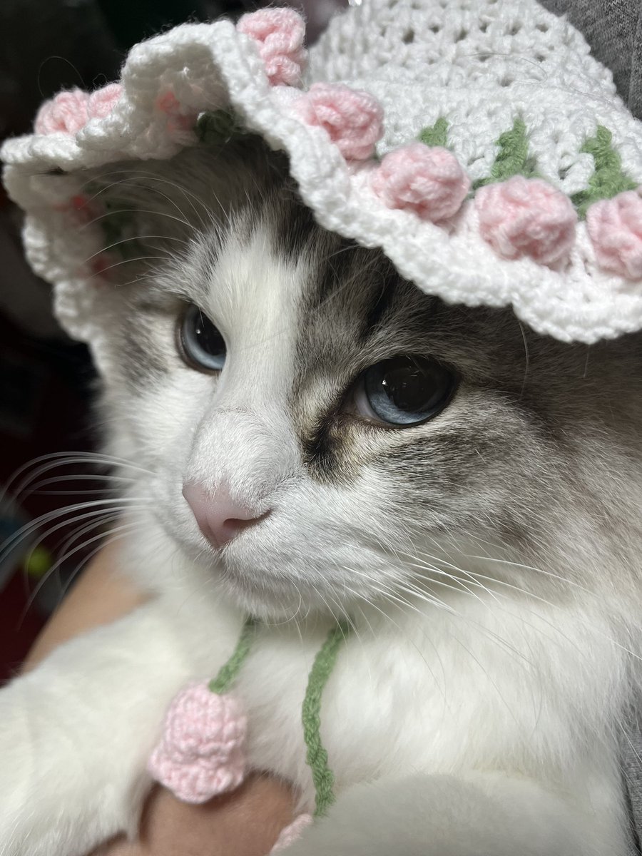 이게 뭐냐면 앨리(<a href="/mybam_S2/">앨리</a>)님이떠주싱 애기 보넷이다.