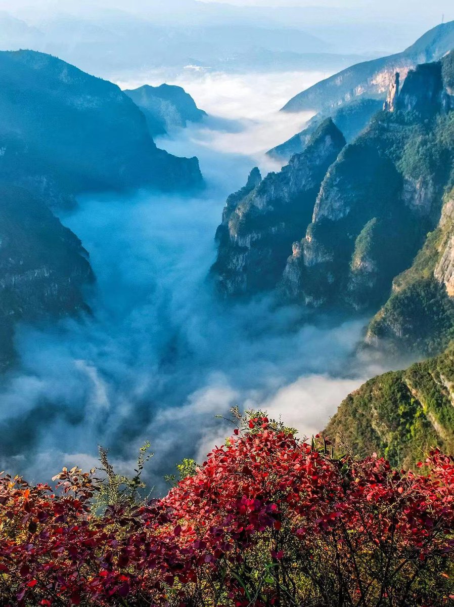 iChongqing_CIMC's tweet image. Don&apos;t miss Wushan 🏔with its red colour🍁🍂 all over the mountains. 

#AutumnInChongqing #NatureBeauty #Flaming #RedLeaves #Chongqing
📸Sanximama