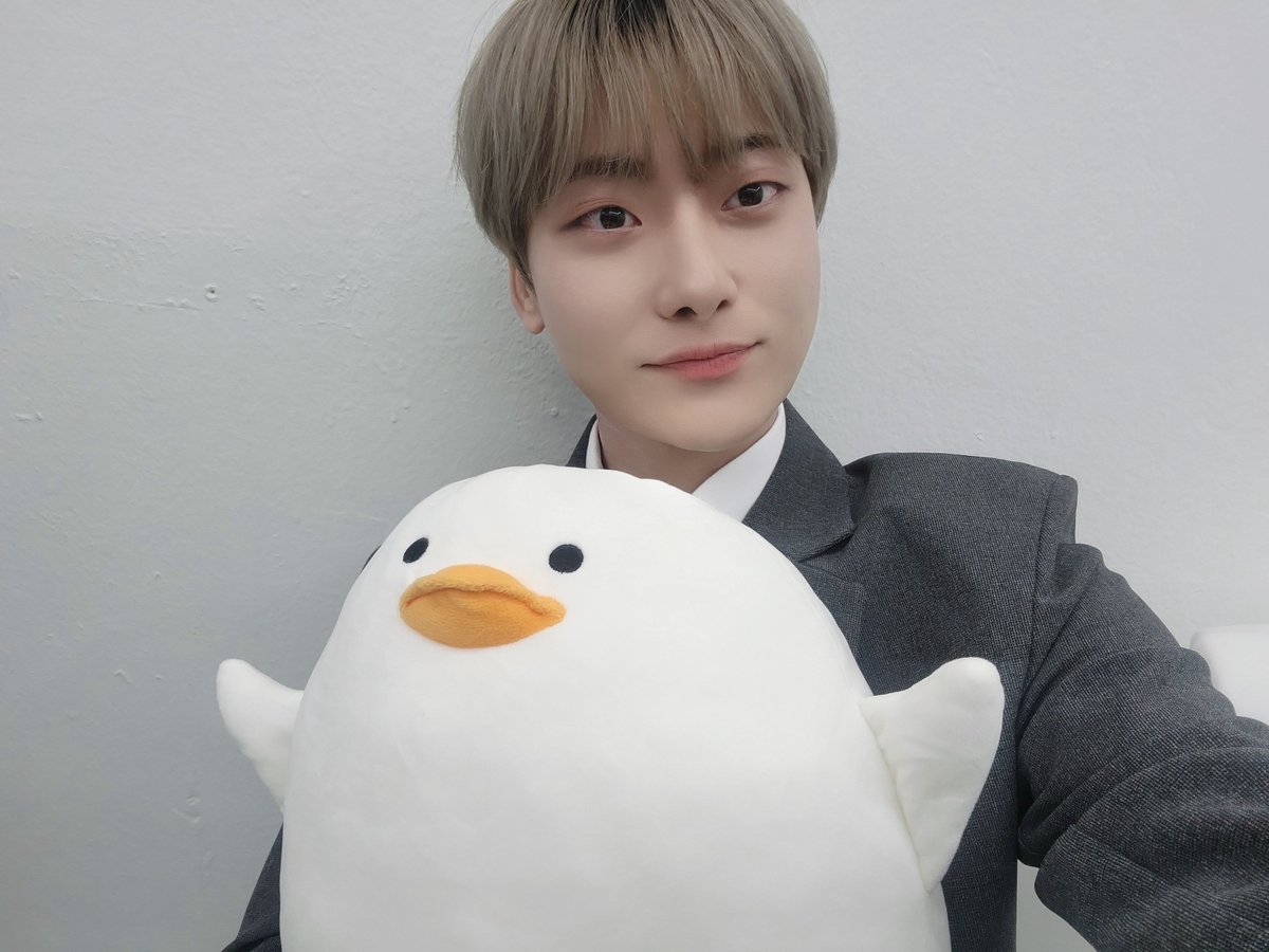 Pattern_Haemin's tweet image. 파닥파닥 🕊️