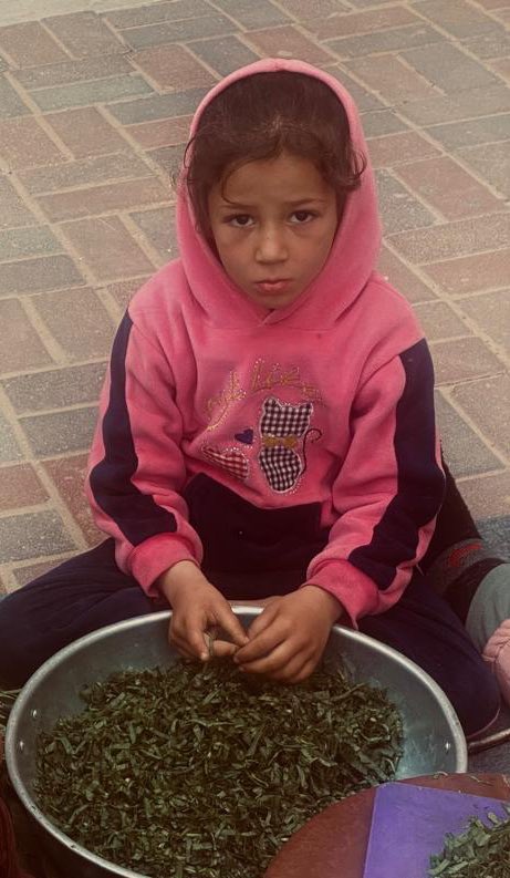 tamergaza1's tweet photo. What if there is no one left?‼️
Unfortunately donations are very low, there is not much left for our goal

please continue your support so that we can do it
look into this child's eyes and think of her💔😭
GFM : https://t.co/P0kqCSBmE9 https://t.co/oXlo1jjEws
