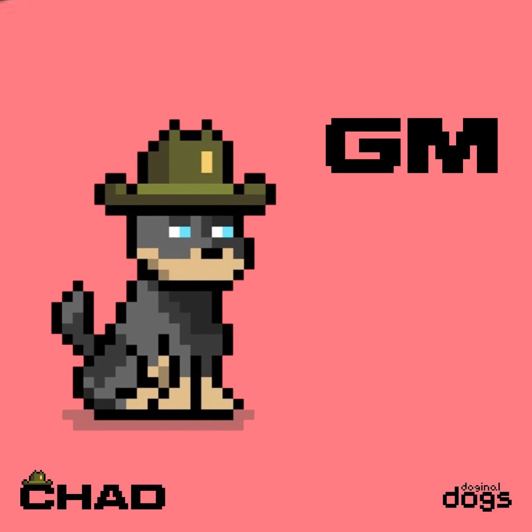 chadzxbt's tweet photo. gm legends https://t.co/dlHgNbYfzB