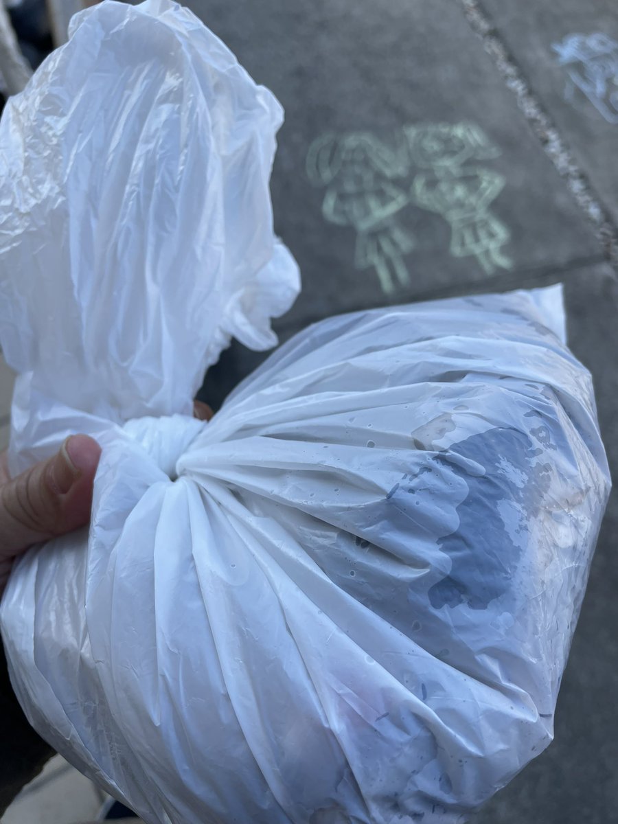 うちの近所で落ちてるゴミは
8割がた🚬タバコの吸い殻

もし火がついてると怖いので　
拾う前に靴底でグリグリして
ゴミ袋に入れて

帰宅してから念押しで
ゴミ袋にお水をチョロチョロと

乾燥してますね〜
火の元に気をつけましょう