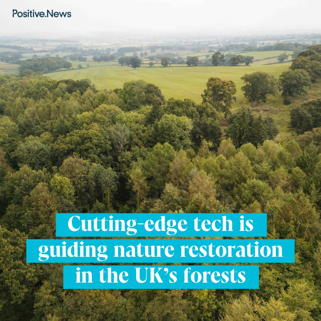 Positive News (@positivenewsuk) on Twitter photo Bioacoustic listening devices and environmental DNA samples are giving <a href="/ForestryEngland/">Forestry England</a> the ‘best ever’ data on wildlife species
positive.news/society/cuttin… Bioacoustic listening devices and environmental DNA samples are giving <a href="/ForestryEngland/">Forestry England</a> the ‘best ever’ data on wildlife species
positive.news/society/cuttin…