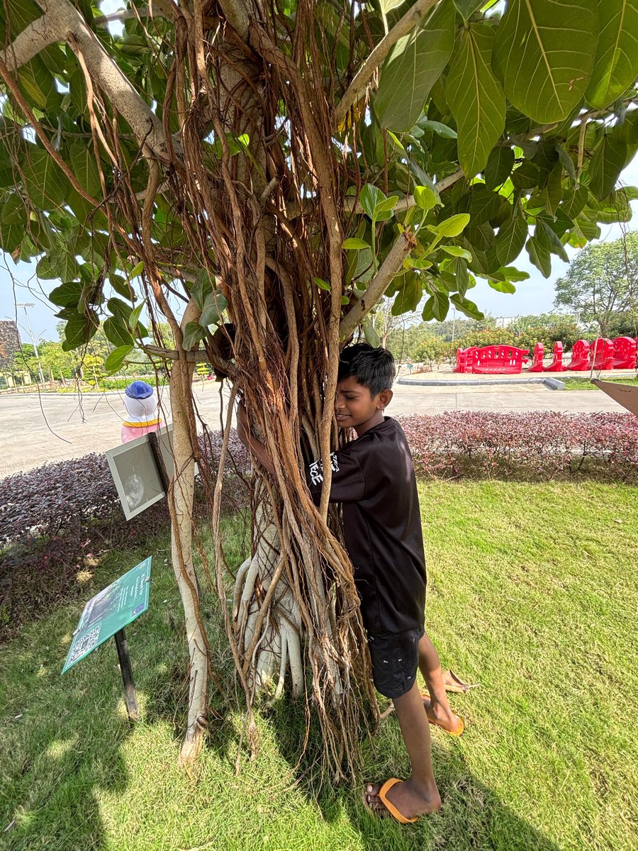 mahaatalgarden's tweet photo. 🌳#TreeHugging Activity at sABV Botanical Garden, Visapur🌳
Today, participants of all ages came together for a heartwarming tree-hugging event.🤗
#TreeHugging #ChipkoMovement #SaveTrees #NatureLove #biogarden https://t.co/32NRQdCGa5