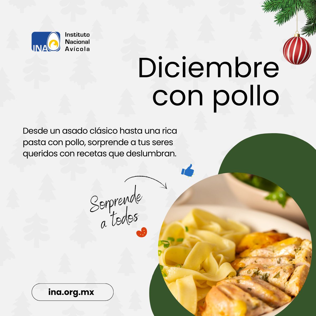 INAvicola's tweet photo. 🎄🥘 ¿Buscando una opción deliciosa para tus cenas navideñas?
¡El pollo es la respuesta! Desde un asado clásico hasta una rica pasta con pollo, sorprende a tus seres queridos con recetas que deslumbran.

#CocinaConPollo #NavidadDeliciosa https://t.co/BWj88F23fR