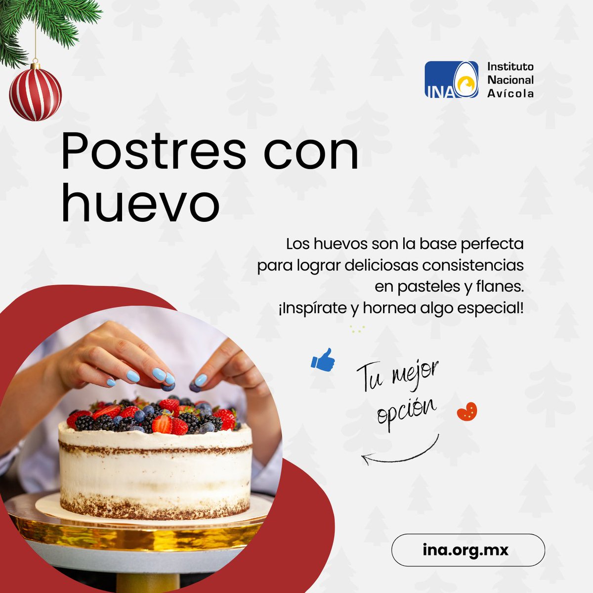 INAvicola's tweet photo. 🍰🥚 ¡Este diciembre, lleva tus postres al siguiente nivel con ingredientes frescos! Los huevos son la base perfecta para lograr deliciosas consistencias en pasteles y flanes.
¡Inspírate y hornea algo especial!

#PostresConHuevo #DiciembreDulce https://t.co/DDCLIkcR7b