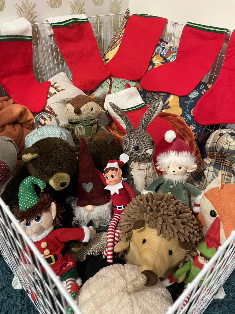 Helen Caithness tweet media