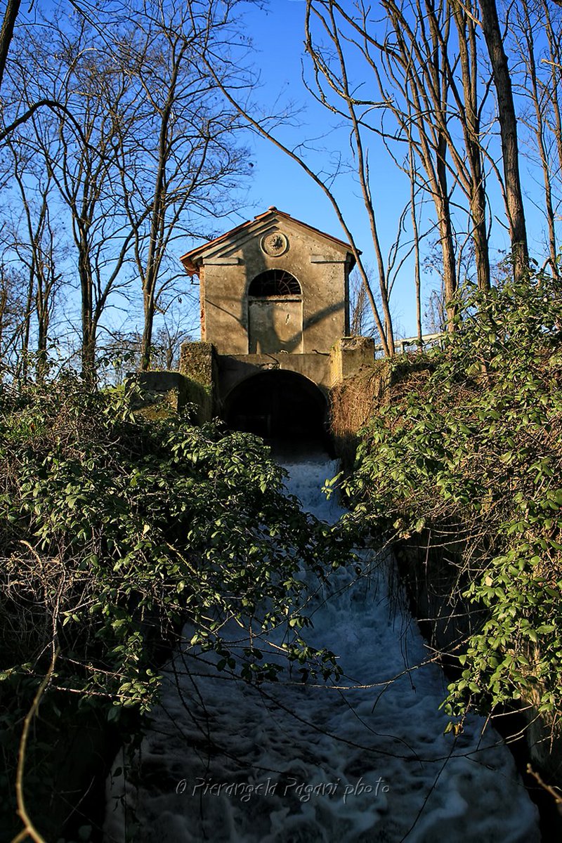 @ferrarisergio4 tweet media