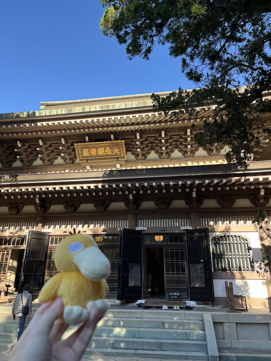 pelikanm400's tweet photo. 鎌倉の円覚寺に行ってきました！

もちろん鎌倉時代から続くお寺で、大きな門や、たくさんの仏像が特徴的です。

境内の紅葉が見頃を迎えています🍁☺️ https://t.co/dOqOYXzeb6