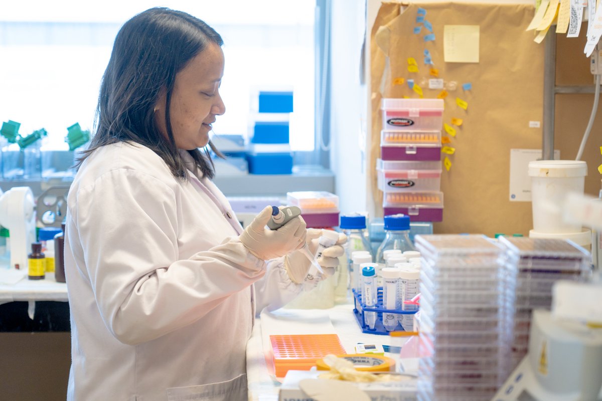ScienceNTU's tweet image. Scientists from @ntusbs have shown that protein p52 in multiple myeloma, produced from the hyperactivation of signalling pathway NF-κB, reprograms DNA regions to express genes that drive the growth and survival of cancer cells in that disease. tinyurl.com/yt5hrzj3