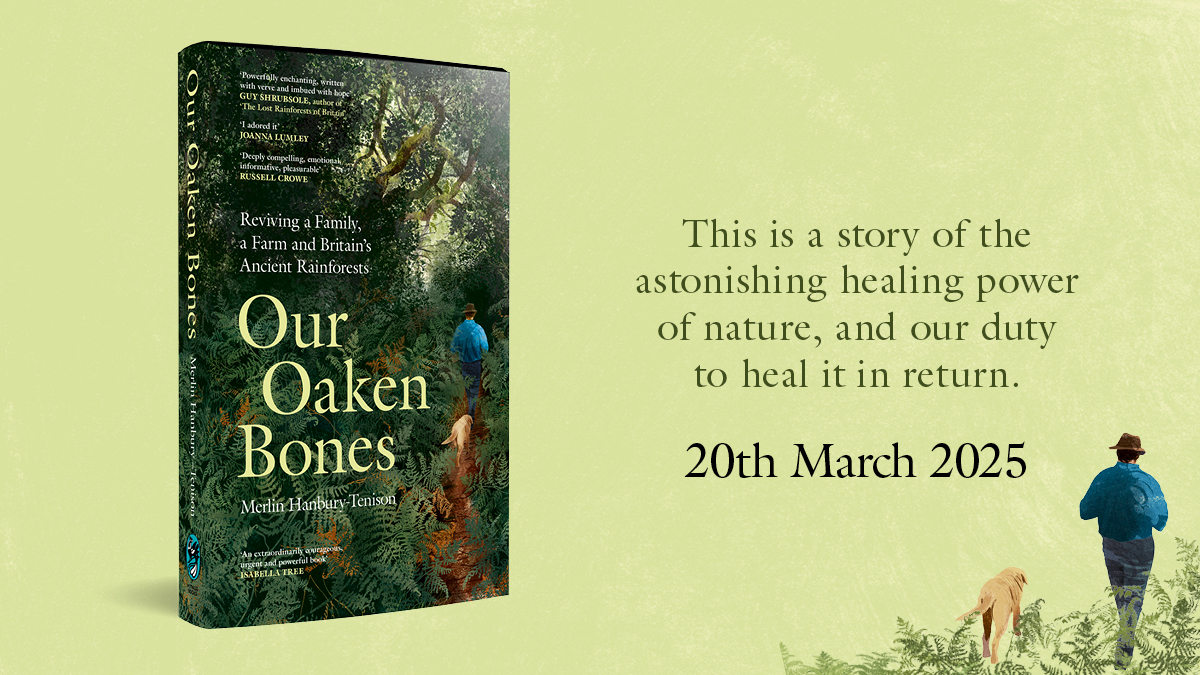 We're delighted to be publishing 'Our Oaken Bones' by Merlin Hanbury-Tenison. 

One to watch in 2025, this is a lyrical and unmissable memoir from a new literary voice, set against the backdrop of an ancient Cornish rainforest. 🌱

lnk.to/OurOakenBonesB…

#OurOakenBones