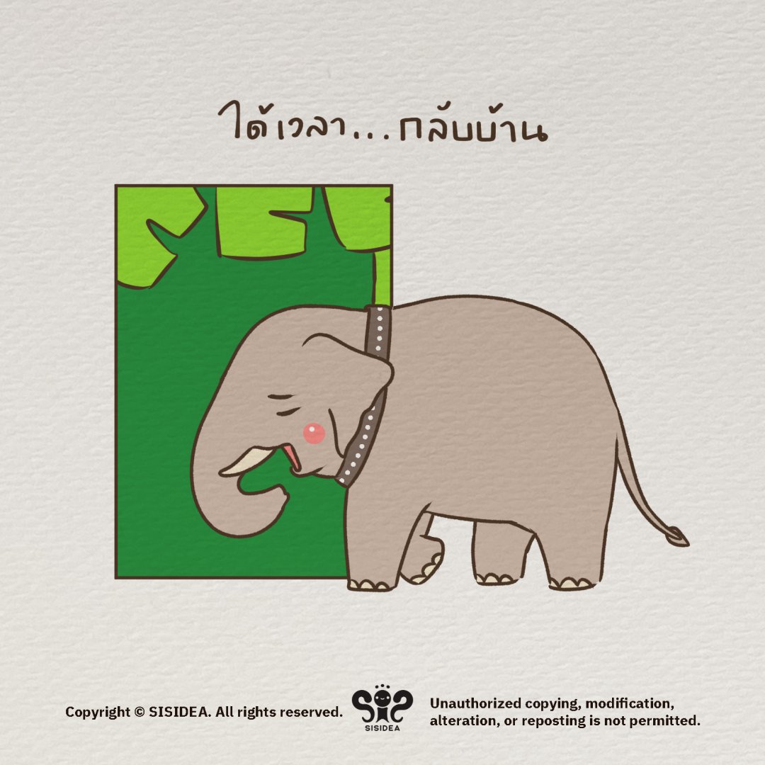 sisidea's tweet photo. เราเป็นนกฮูกหรือเป็นช้าง

#sisidea https://t.co/swuQ34sPtG