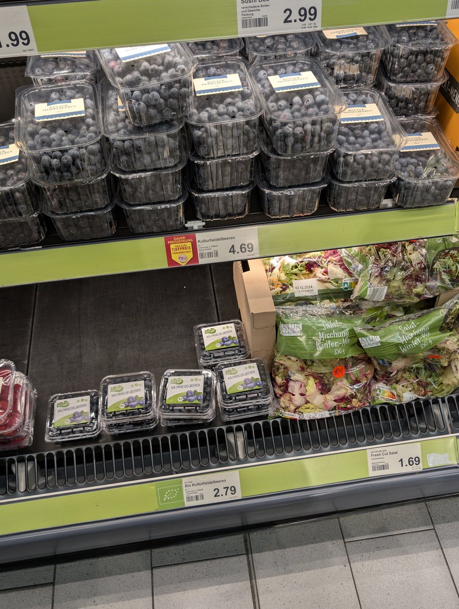 RibbitShun's tweet photo. Blueberries in Germany
... #SlavaUkraini #ForIsrael #RefugeesWelcome @elonmusk @realDonaldTrump https://t.co/s8MvDNW6Jr