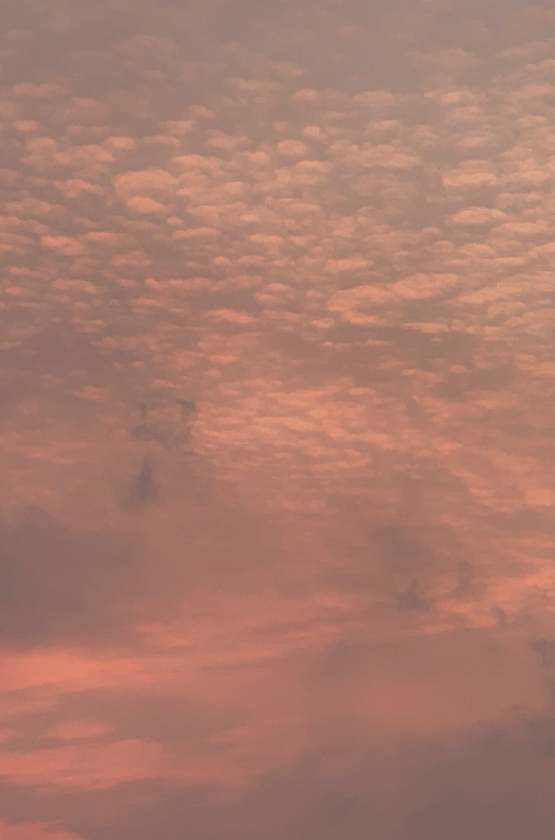 손잡이👀
살살잡아줘유🫣🫢

#뒤치기 #초보부부 #부커만남 #부부만남 #커플만남 #건오 #관클 #맘눌뎀