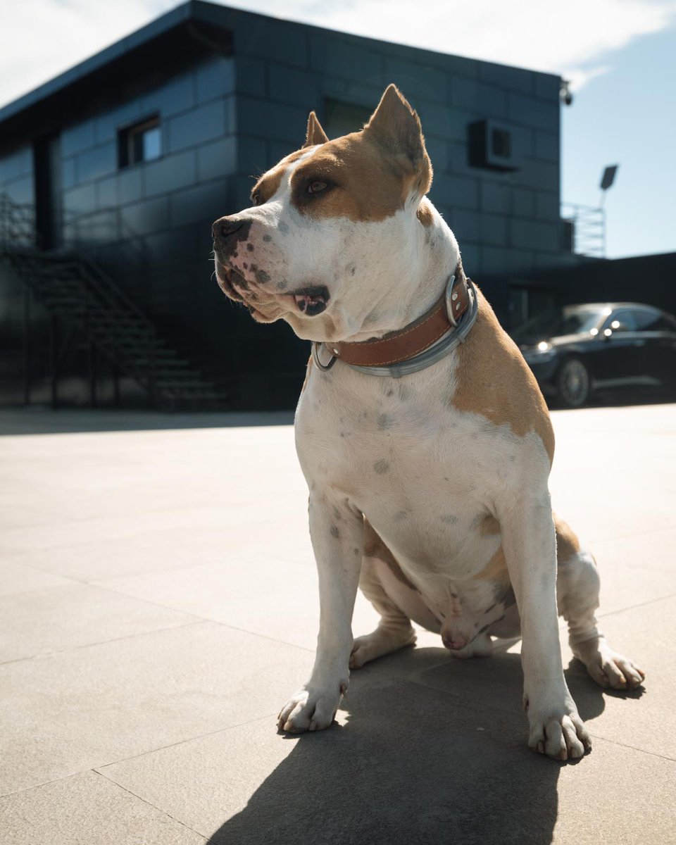 What should i do today?