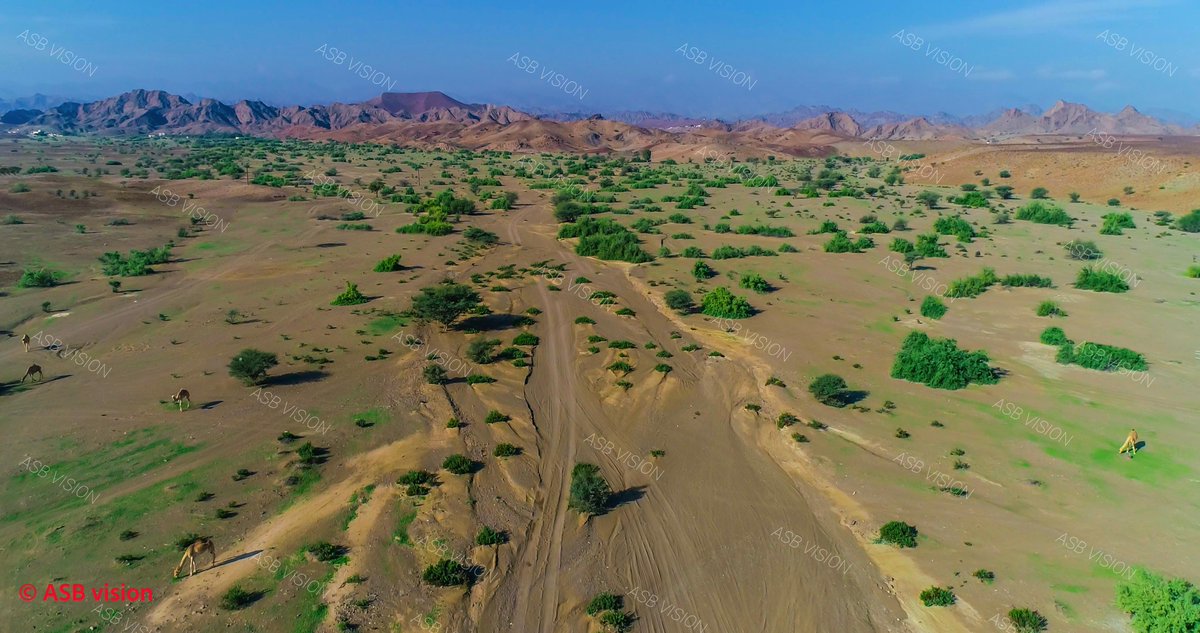 AsbVision's tweet image. Sultanate Of Oman - سلطنة عمان

#Oman #ASB #ASBVISION #4k #hd #phantom4 #dji #oman_from_theSky #dronephotos #quadchopter #dronestagram #drone_countries
#بر #الحكمان #الوسطى #عمان #عمان_من_السماء