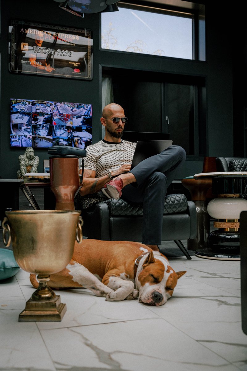 After a hard working day we take even harder nap <a href="/Cobratate/">Andrew Tate</a>