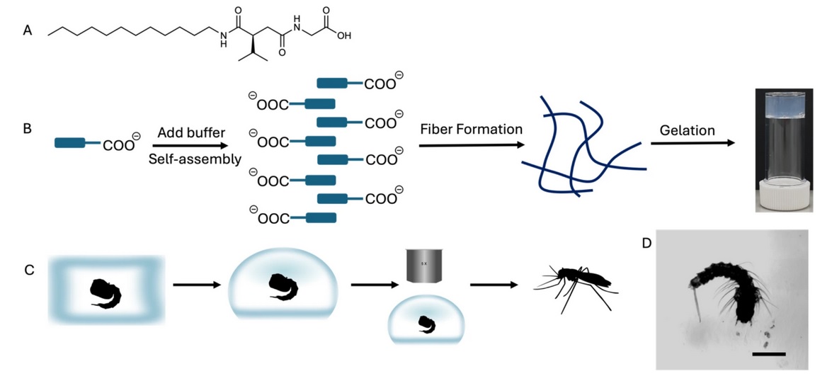 Marco Marcello (@_m_marcello) on Twitter photo The paper is online, find the full link in the first comment. This work would not have been possible without @prof_djadams in Glasgow and <a href="/embl/">EMBL</a>. A new #hydrogel for #microscopy that allows you to recover your sample undamaged... <a href="/RoyalMicroSoc/">RMS</a> <a href="/livuniLivSRF/">Liverpool Shared Research Facilities</a> <a href="/LivUniISMIB/">Inst of Systems, Molecular & Integrative Biology</a> The paper is online, find the full link in the first comment. This work would not have been possible without @prof_djadams in Glasgow and <a href="/embl/">EMBL</a>. A new #hydrogel for #microscopy that allows you to recover your sample undamaged... <a href="/RoyalMicroSoc/">RMS</a> <a href="/livuniLivSRF/">Liverpool Shared Research Facilities</a> <a href="/LivUniISMIB/">Inst of Systems, Molecular & Integrative Biology</a>