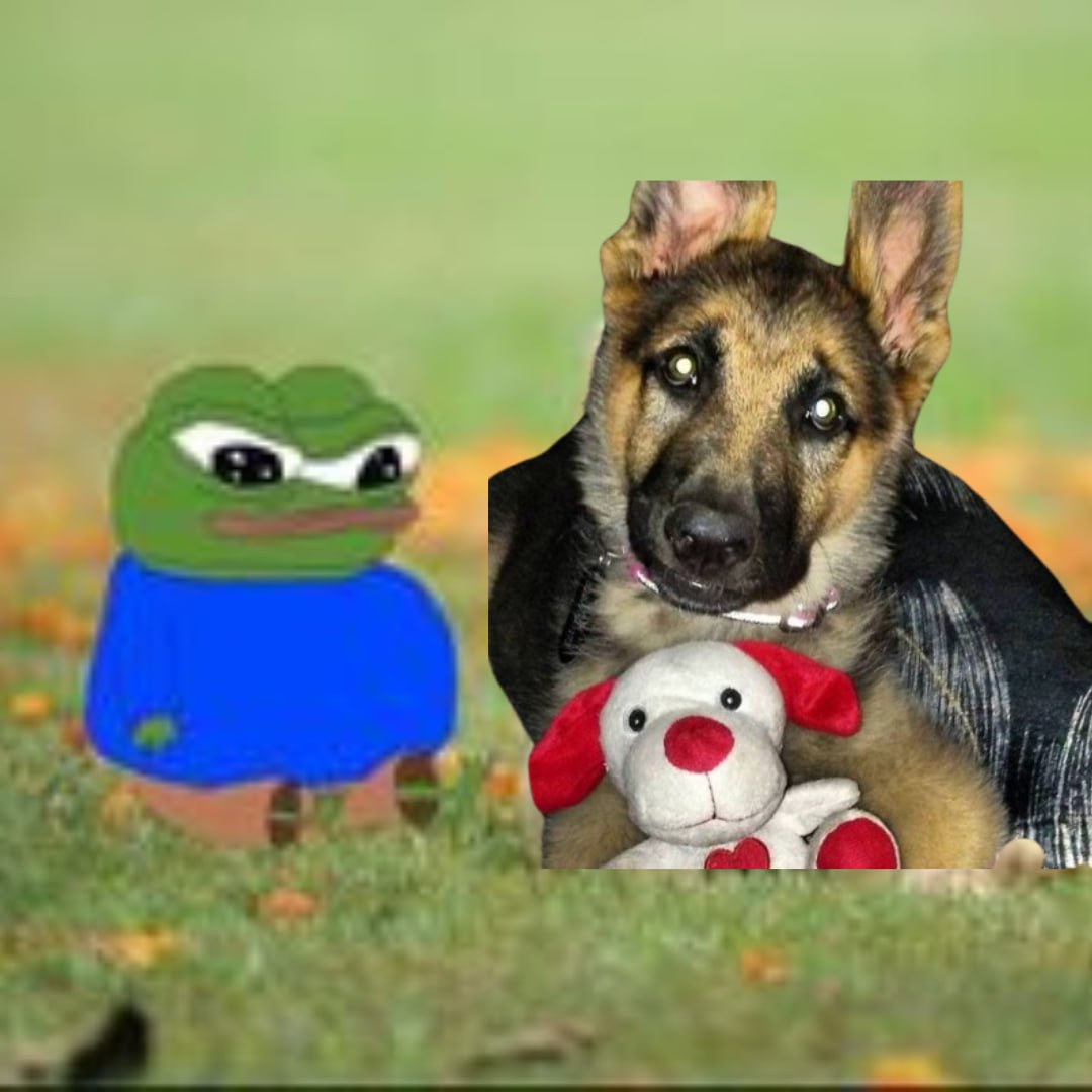 sam_xrpl's tweet photo. sam has her stuffed animal and pepe https://t.co/fmhFN7S9B1