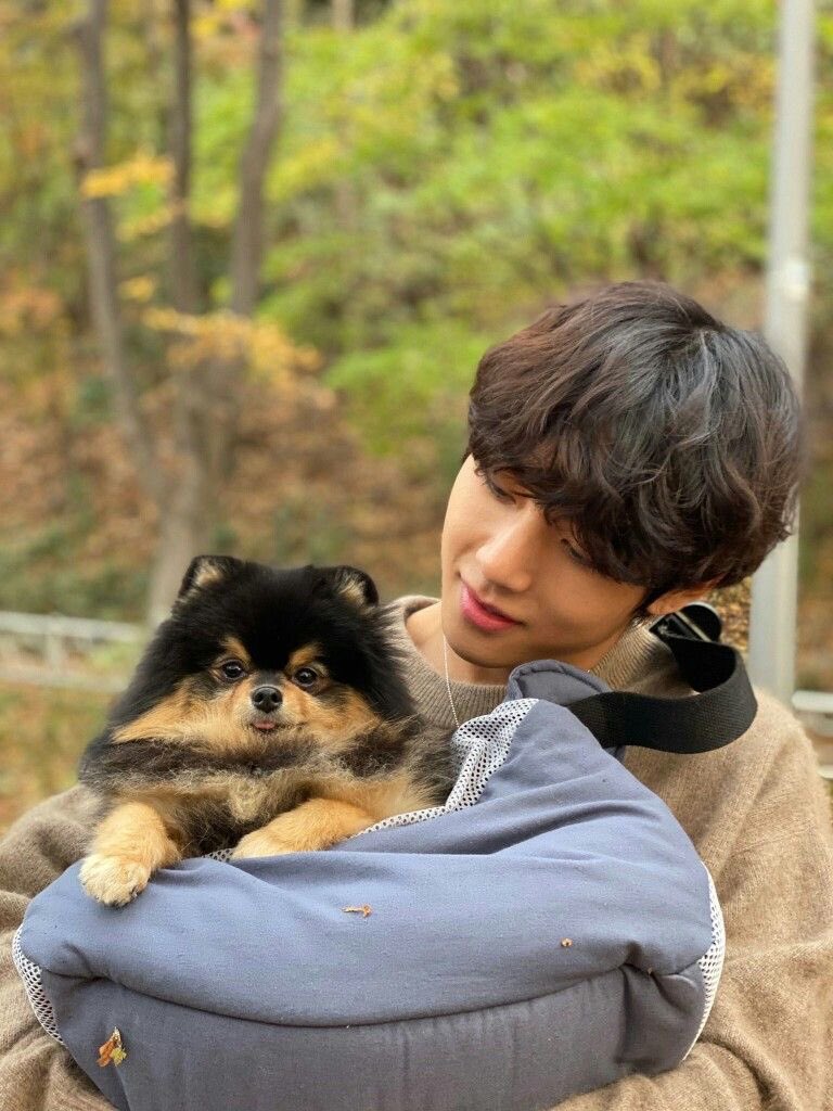 Melissagif59532's tweet photo. @thv95_thv R.i.p yeontan https://t.co/2Aq0bhajMY