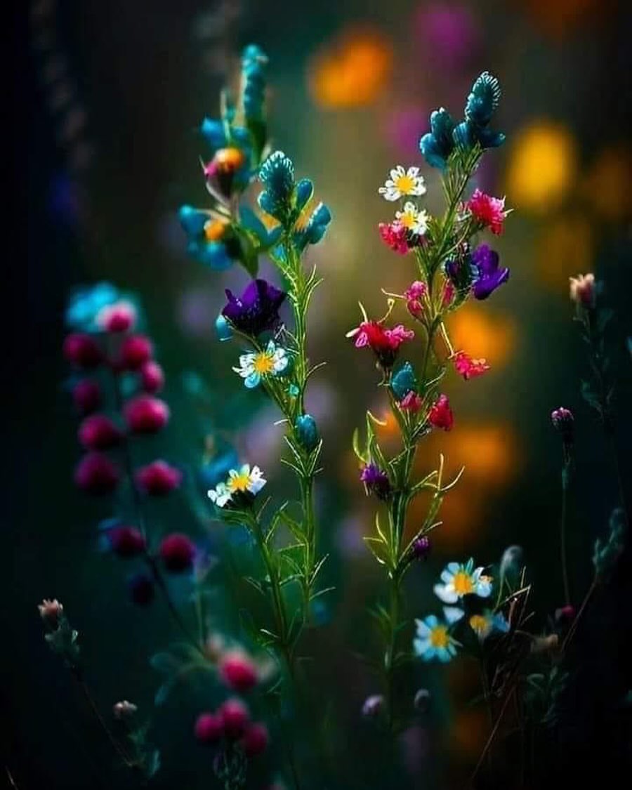 Julie LV (@1staj) on Twitter photo 